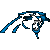 Carolina Panthers