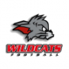 Kirchdorf Wildcats