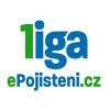 Tschechische Erste Liga